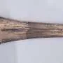 Esqueletos revelam que princesas egípcias de 4.000 anos usavam armas