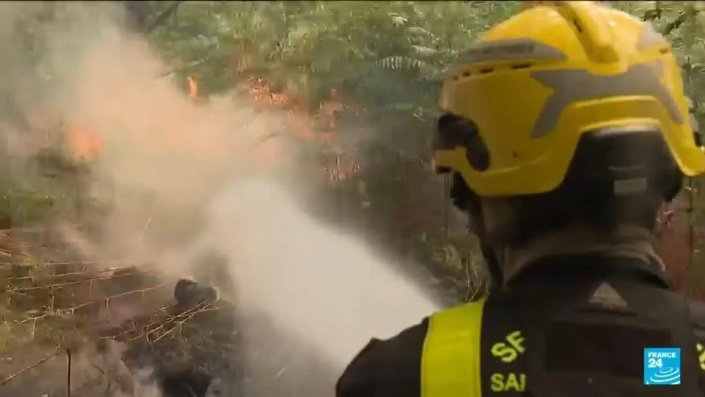 Incêndio florestal em Fontainebleau é contido enquanto investigação de incêndio criminoso avança