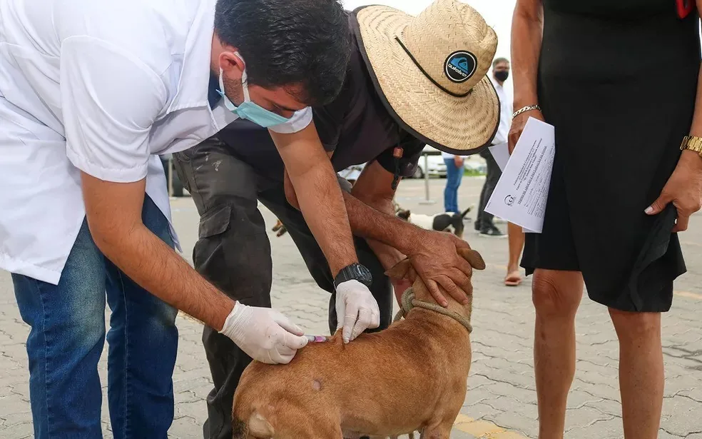 Campanha de vacinação antirrábica para cães e gatos em Contagem