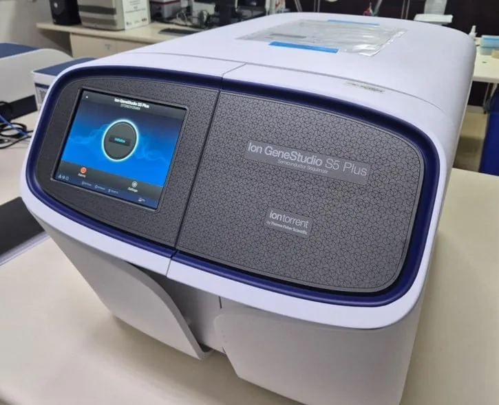 Nova plataforma acelera pesquisa e impulsiona o desenvolvimento de trigo mais produtivo