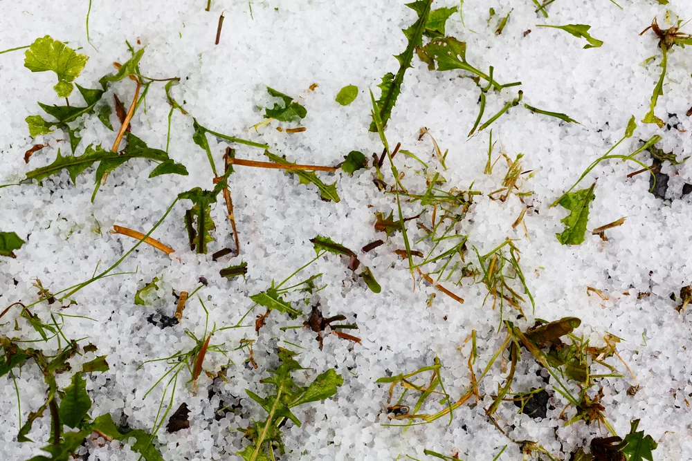 Temporal com granizo deixa 400 desalojados em Eldorado do Sul