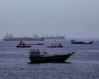 Cientistas alertam sobre ameaça de biodiversidade em navios parados no estreito de Ormuz