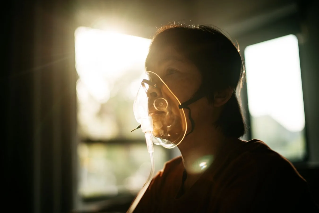 Inhaling high dose CO2 clears Alzheimer’s proteins from the brain