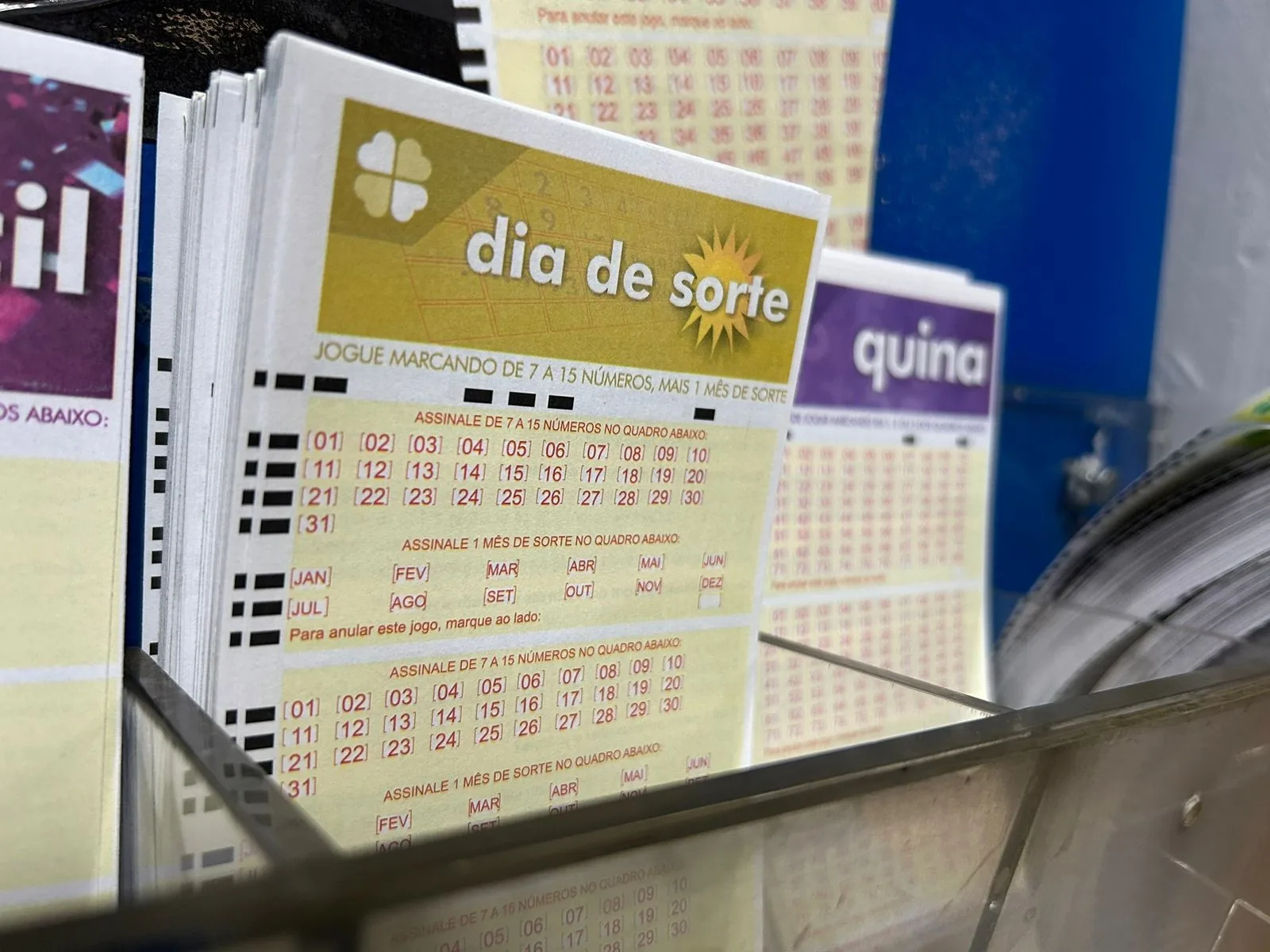 Dia de Sorte hoje: resultado do concurso 1241 e números sorteados