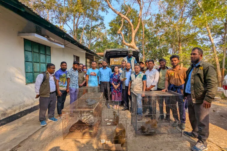 Volunteers play crucial role in Bangladesh’s wildlife crime control efforts