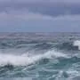 World's oceans break June heat record: EU monitor
