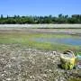 Seca ameaça irrigação no norte da Itália