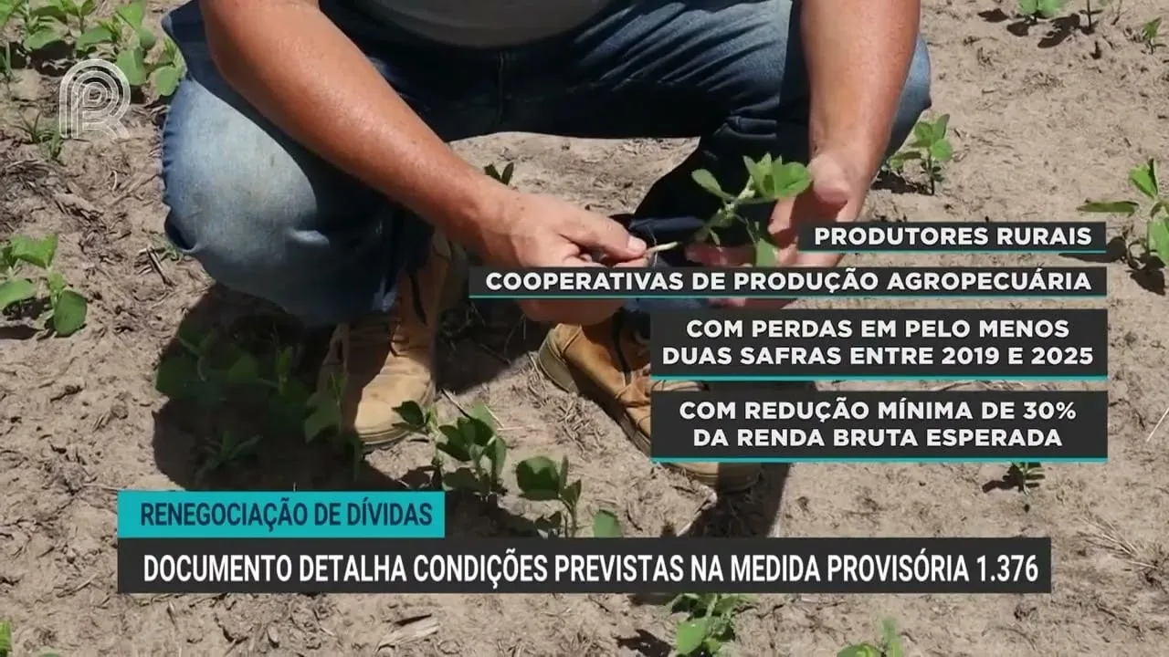 CNA divulga guia para renegociação de dívidas rurais com novas regras