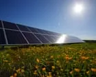 Proposta de captura de carbono ignora emissões de metano, alertam especialistas