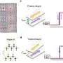 Pesquisadores descobrem que magnetos ultrafinos retêm magnetização após mudanças de campo
