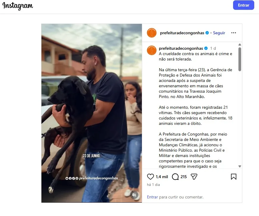 Exames confirmam uso de chumbinho em envenenamento que matou 18 animais em Congonhas; um suspeito foi identificado