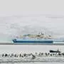 'I can't work in the farce of climate change cruise tourism anymore': Why Antarctic guides quit their dream jobs
