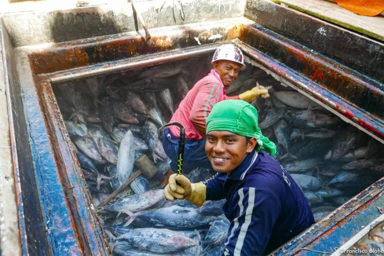 A ratificação da Indonésia das reformas trabalhistas na pesca e seu impacto na conservação
