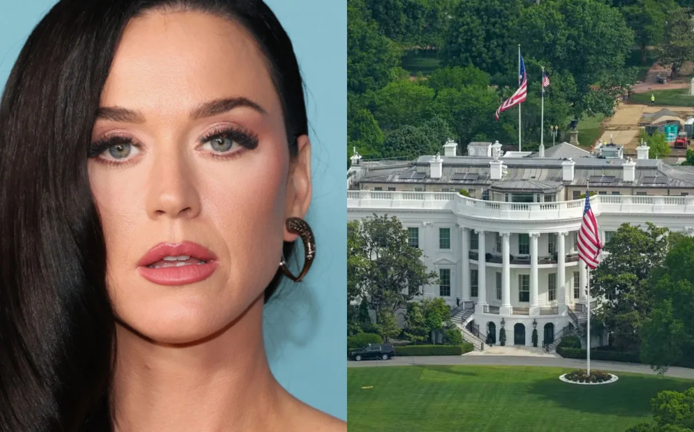 Katy Perry critica Casa Branca por uso de 'Firework' em vídeo militar