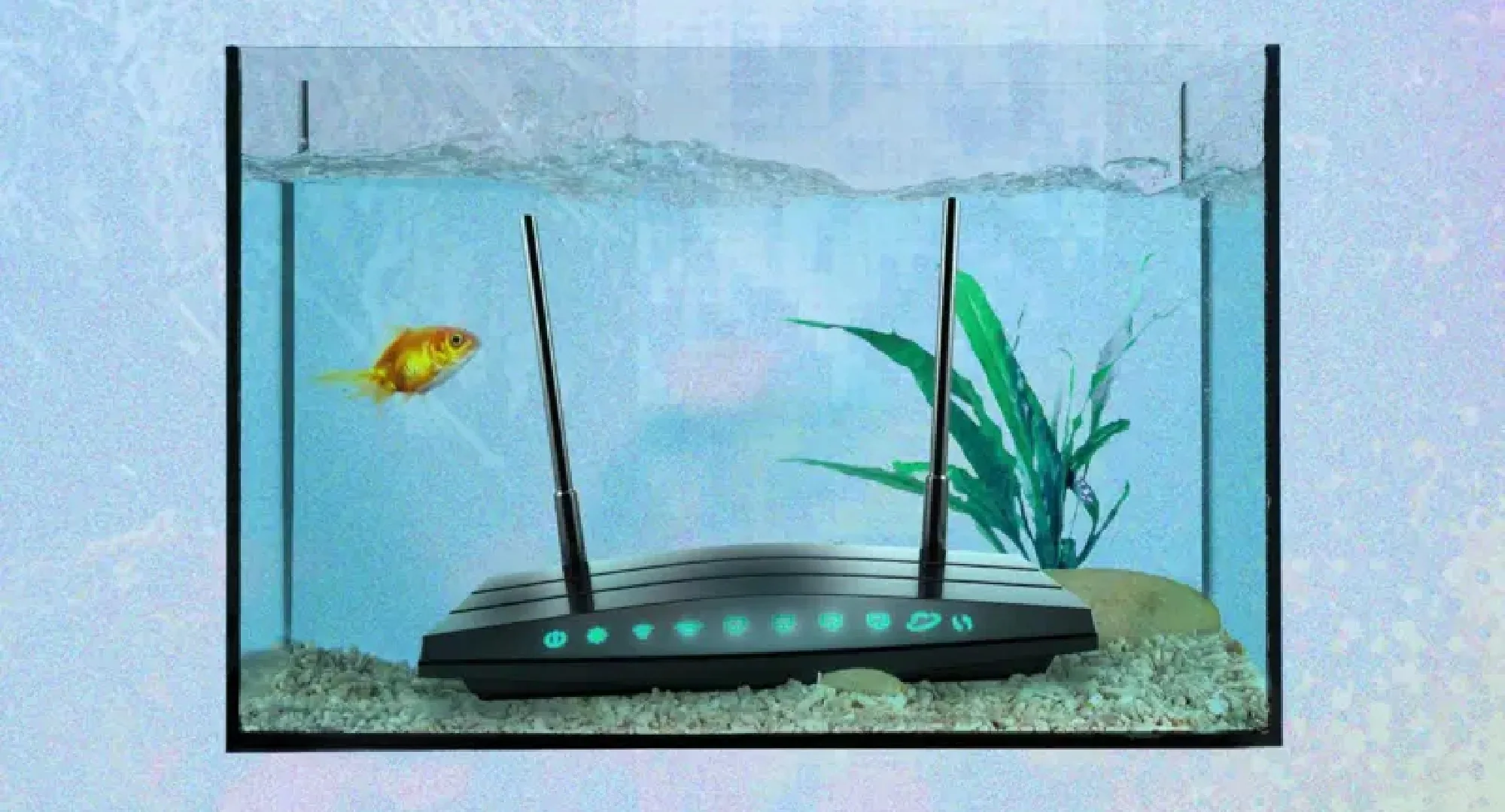 As coisas mais estranhas que podem piorar o sinal de wi-fi da sua casa