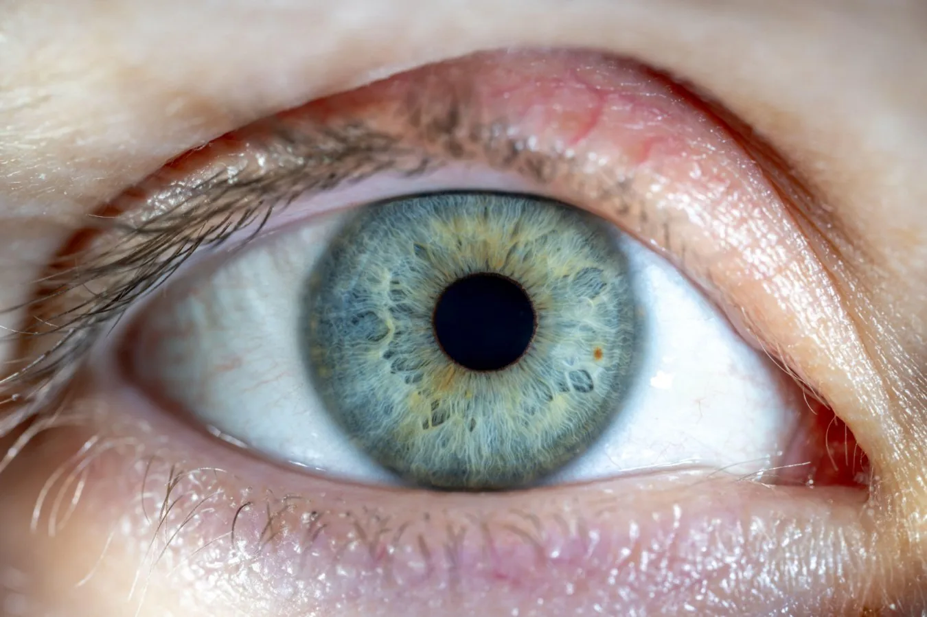 Retinas humanas reanimadas reagem à luz 10 horas após a morte