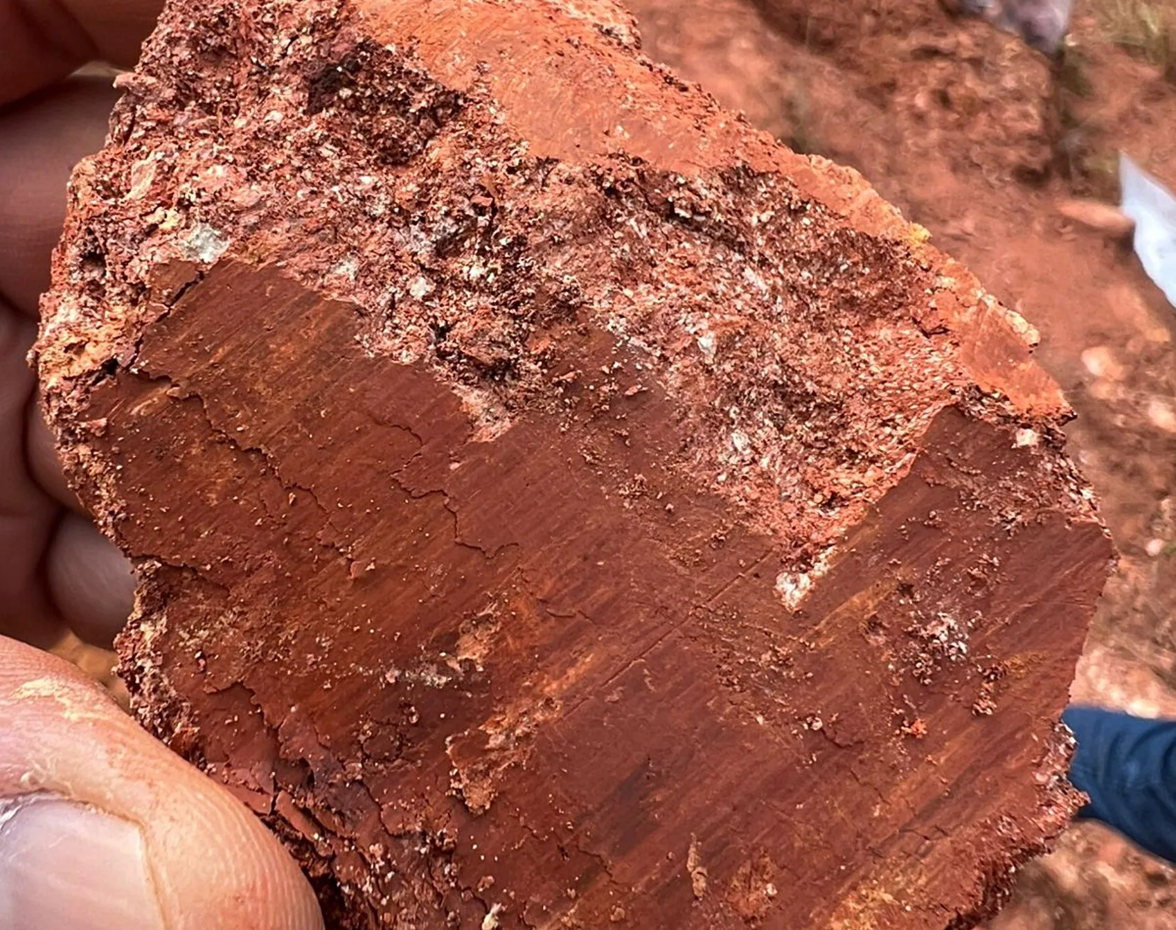 Meteoric revisa estimativa de terras raras em jazida em Caldas (MG)
