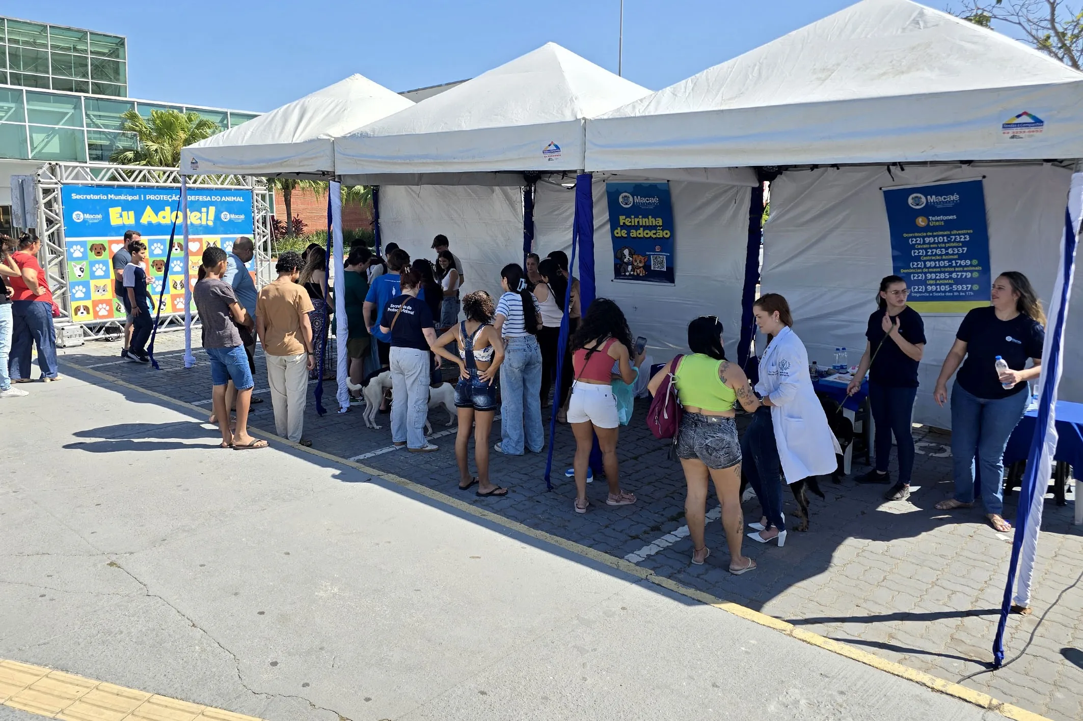 Macaé reconhece pets como parte da família e amplia serviços