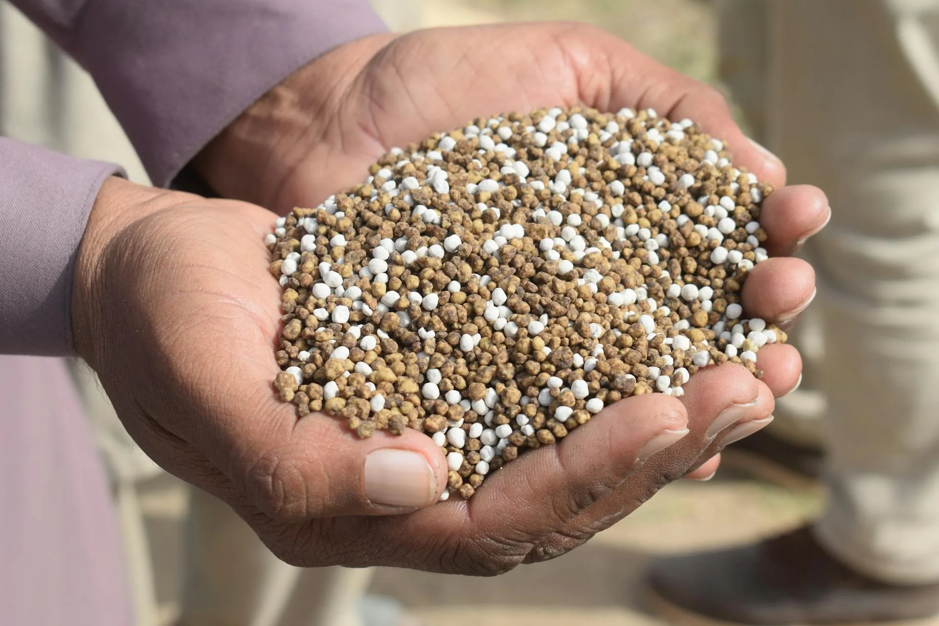 Crise de fertilizantes e El Niño: riscos para a produção agrícola brasileira