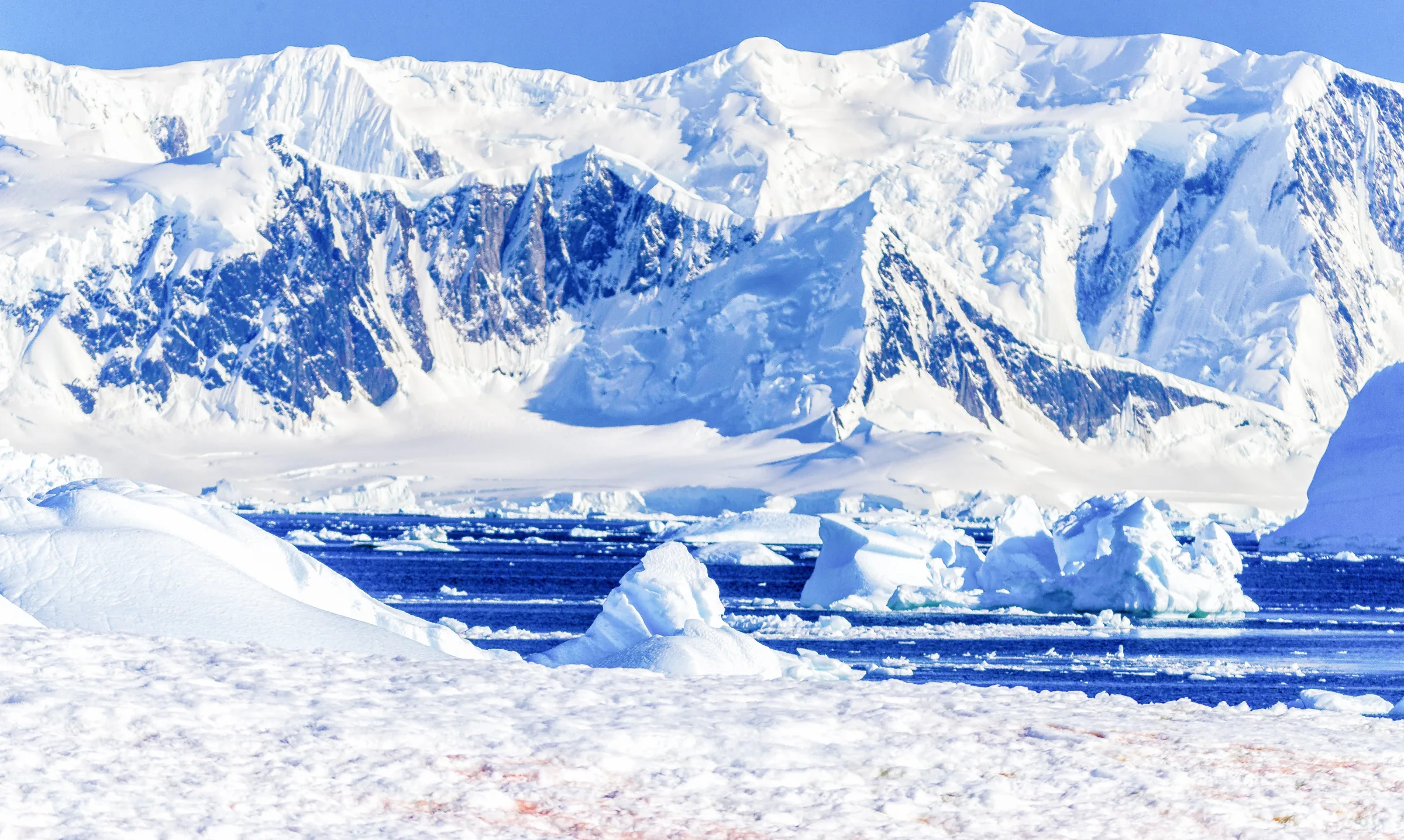 Ex-guias turísticos abandonam a Antártica por dilemas éticos