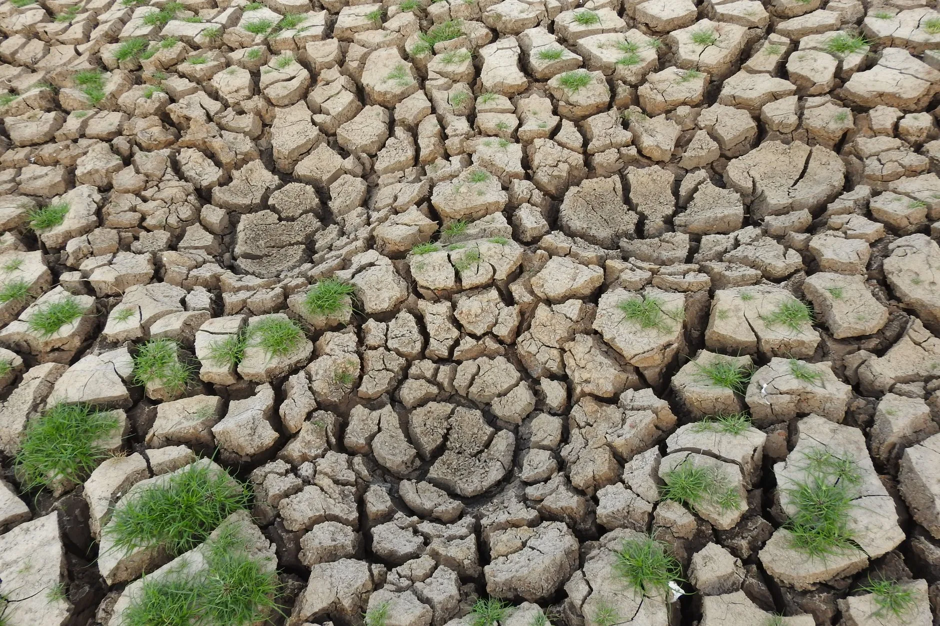 Análise: O Impacto das Mudanças Climáticas e a Fragilidade Ecológica Global