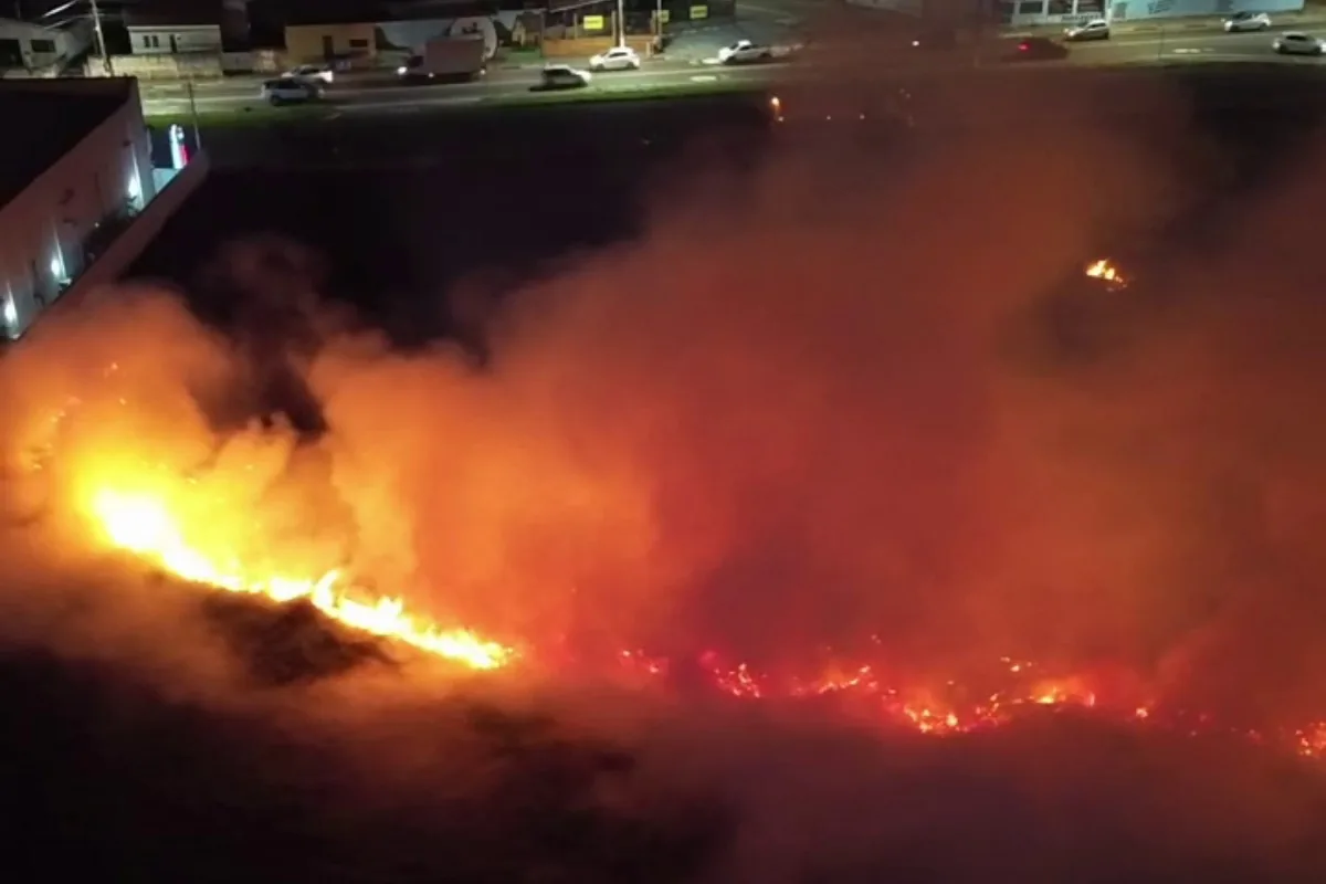 Incêndio de grandes proporções atinge área de mata em Hortolândia