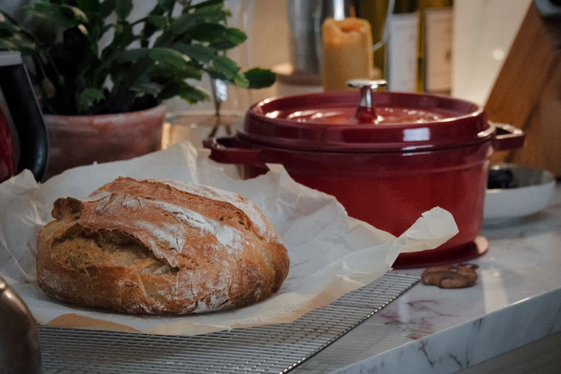 Sourdough Sidekick promete facilitar o preparo de pães artesanais