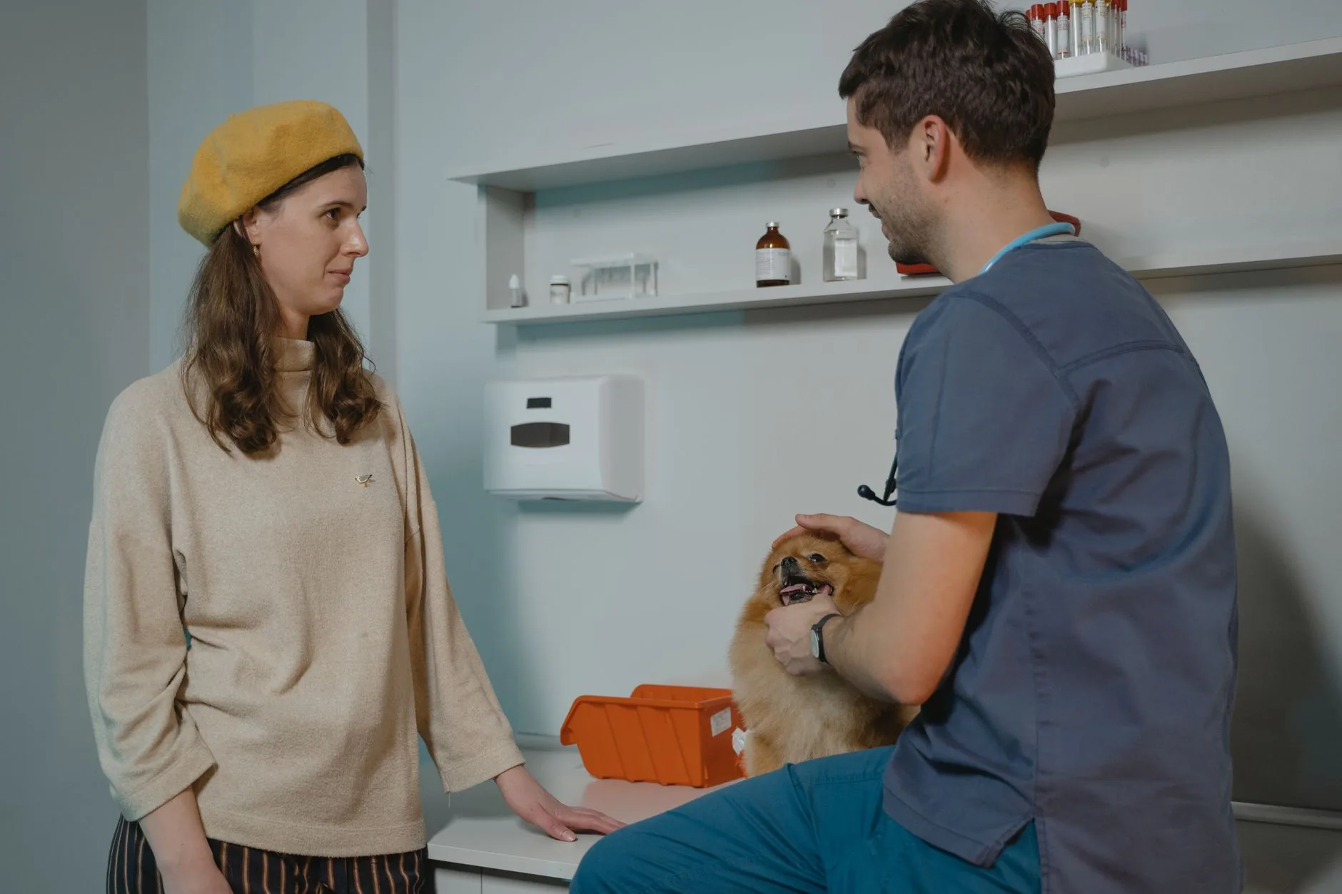 Veterinários alertam sobre três alimentos perigosos para cães