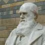 Teoria Lamarckista Retorna para Explicar Anomalias na Evolução