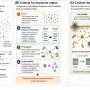Moléculas raras são fundamentais para a estrutura das comunidades naturais
