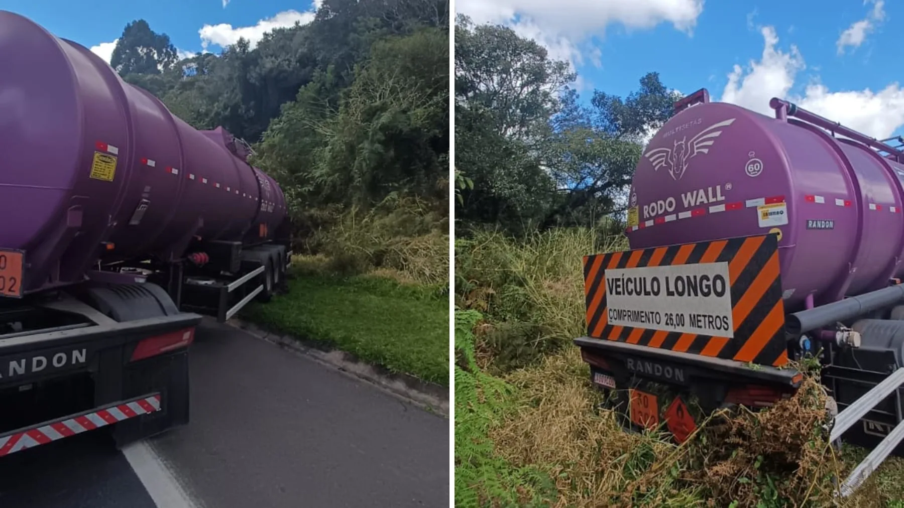 Caminhoneiro sofre acidente após ataque de abelhas no Paraná