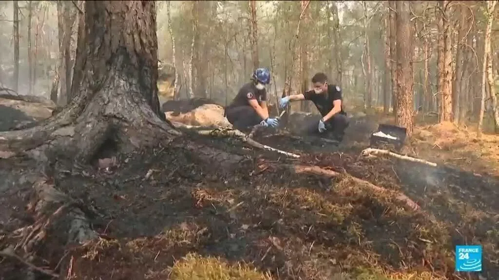 Bombeiro voluntário confessa ter provocado incêndio na floresta de Fontainebleau