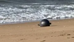 Autoridades australianas investigam esferas misteriosas que apareceram em praia