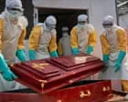 Elon Musk e os impactos das cortes da USAID nos programas contra Ebola