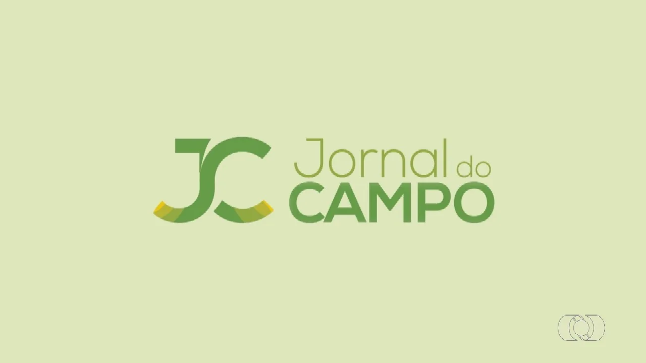 Crise dos fertilizantes pressiona preços de arroz e trigo