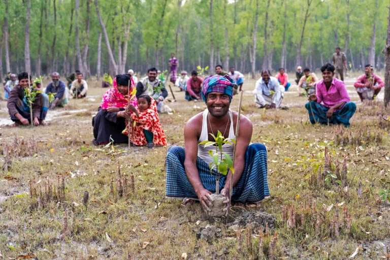 Conservationists urge caution over Bangladesh’s plan to plant 250 million trees