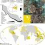 Sun-powered sponges may generate 11% of tropical coral reef productivity