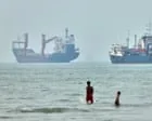 Oil prices fall as US pauses strikes on Iran over strait of Hormuz