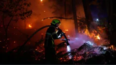 França enfrenta incêndios devastadores e evacua mais 55 mil pessoas