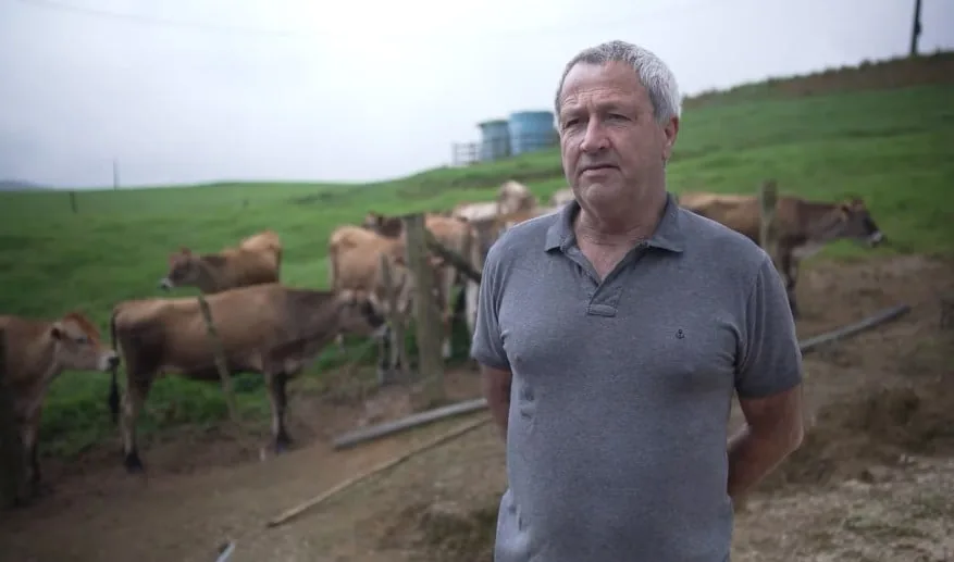 Produtor recupera atividade após abate de 82 vacas leiteiras