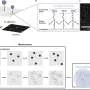 New method brings single-particle quality control to nanocrystal manufacturing