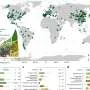 História evolutiva influencia estratégias de armazenamento de carbono em plantas