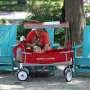 Oppressive heat broils US during World Cup, July Fourth