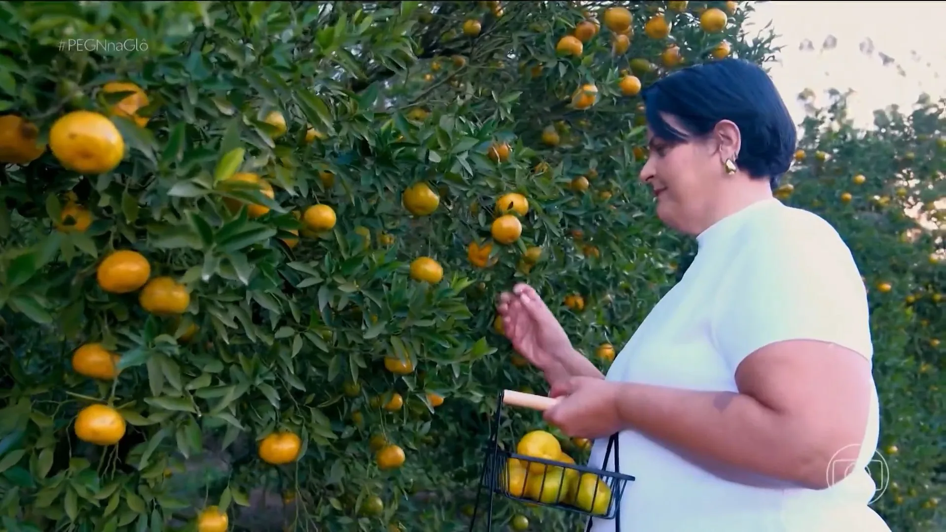 Após falência, casal reinventa empresa com produtos de mexerica e fatura R$ 400 mil