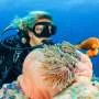 Scuba divers underestimate how much damage they do to coral reefs. We've watched hundreds to find out why