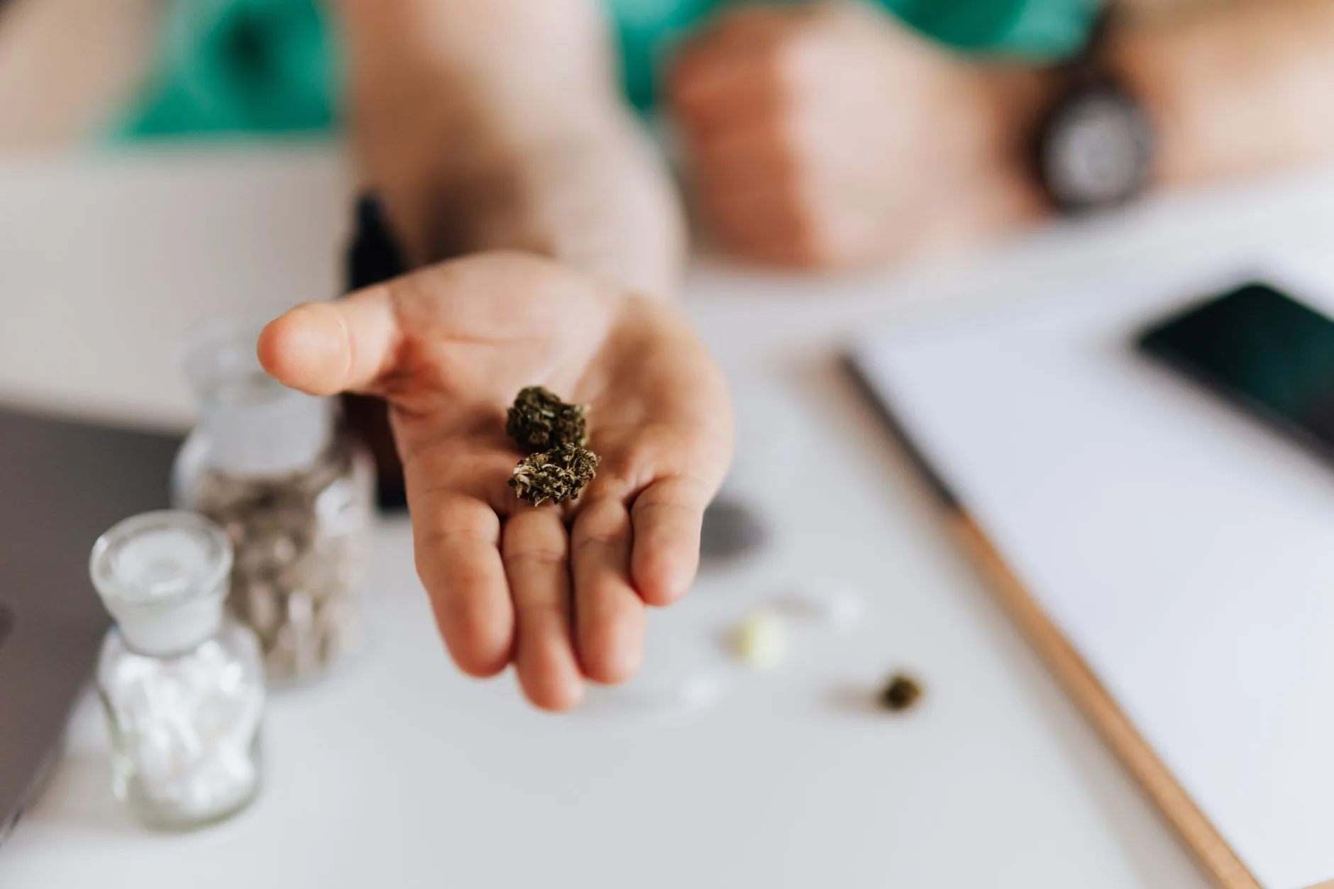 Geórgia amplia acesso à cannabis medicinal com nova lei