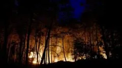 Aviões enviados para combater incêndios florestais de 'escala excepcional' perto de Paris