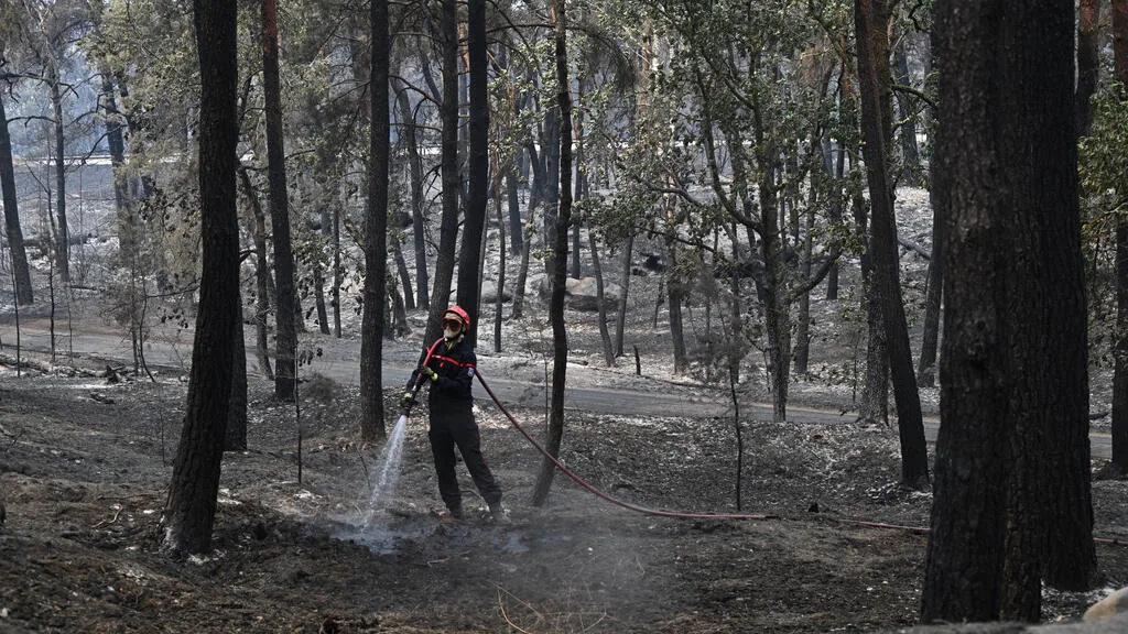 Incêndio recomeça na floresta de Fontainebleau enquanto investigação avança