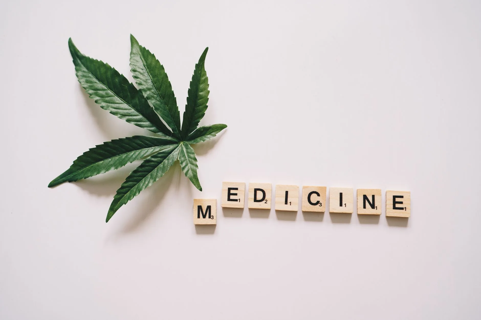 Associação Reconstruir oferece capacitação em cannabis medicinal para SUS no RN
