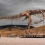Venda de fósseis de dinossauros levanta preocupações científicas